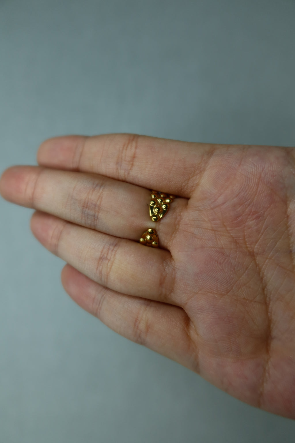 Anillo Vea