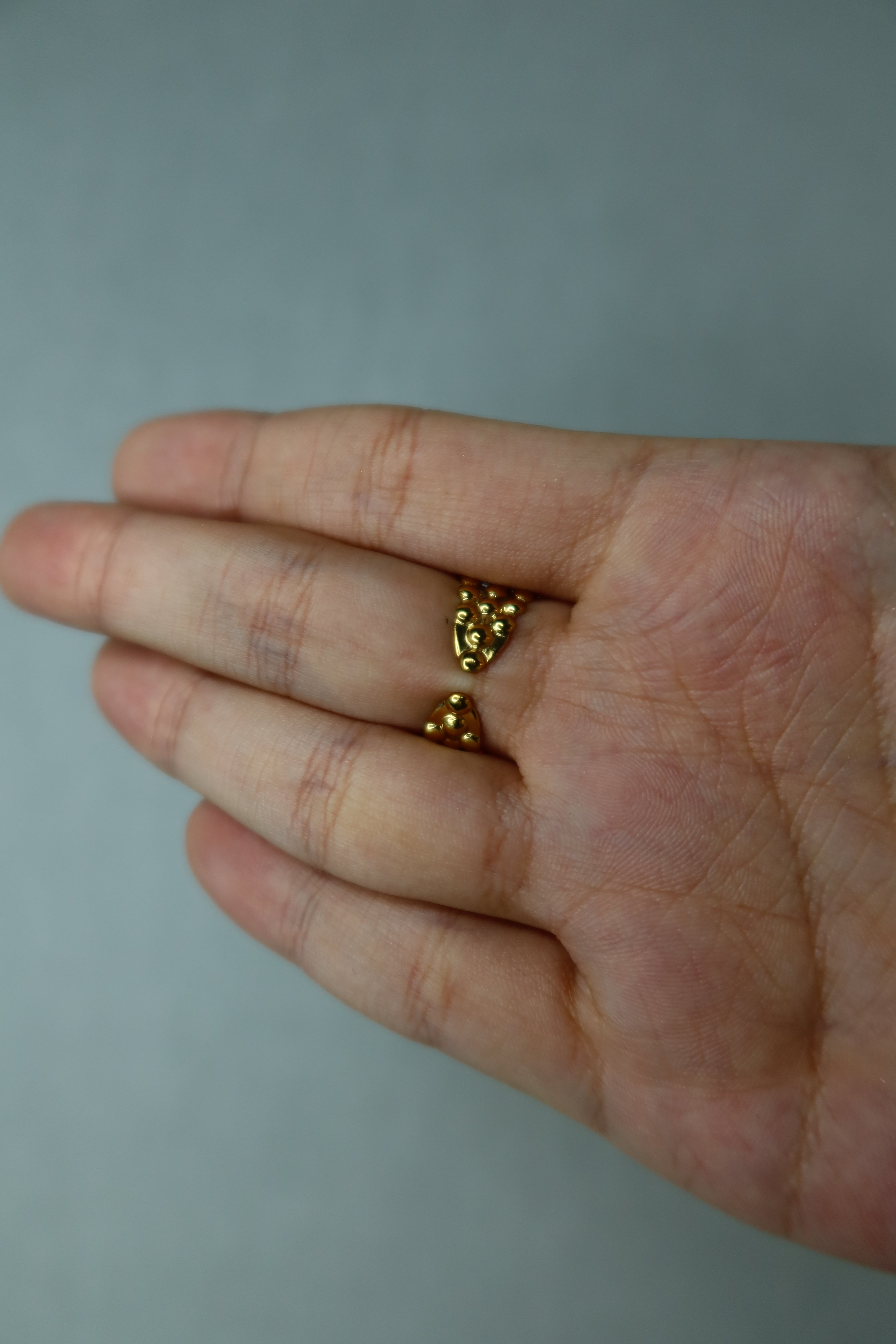 Anillo Vea