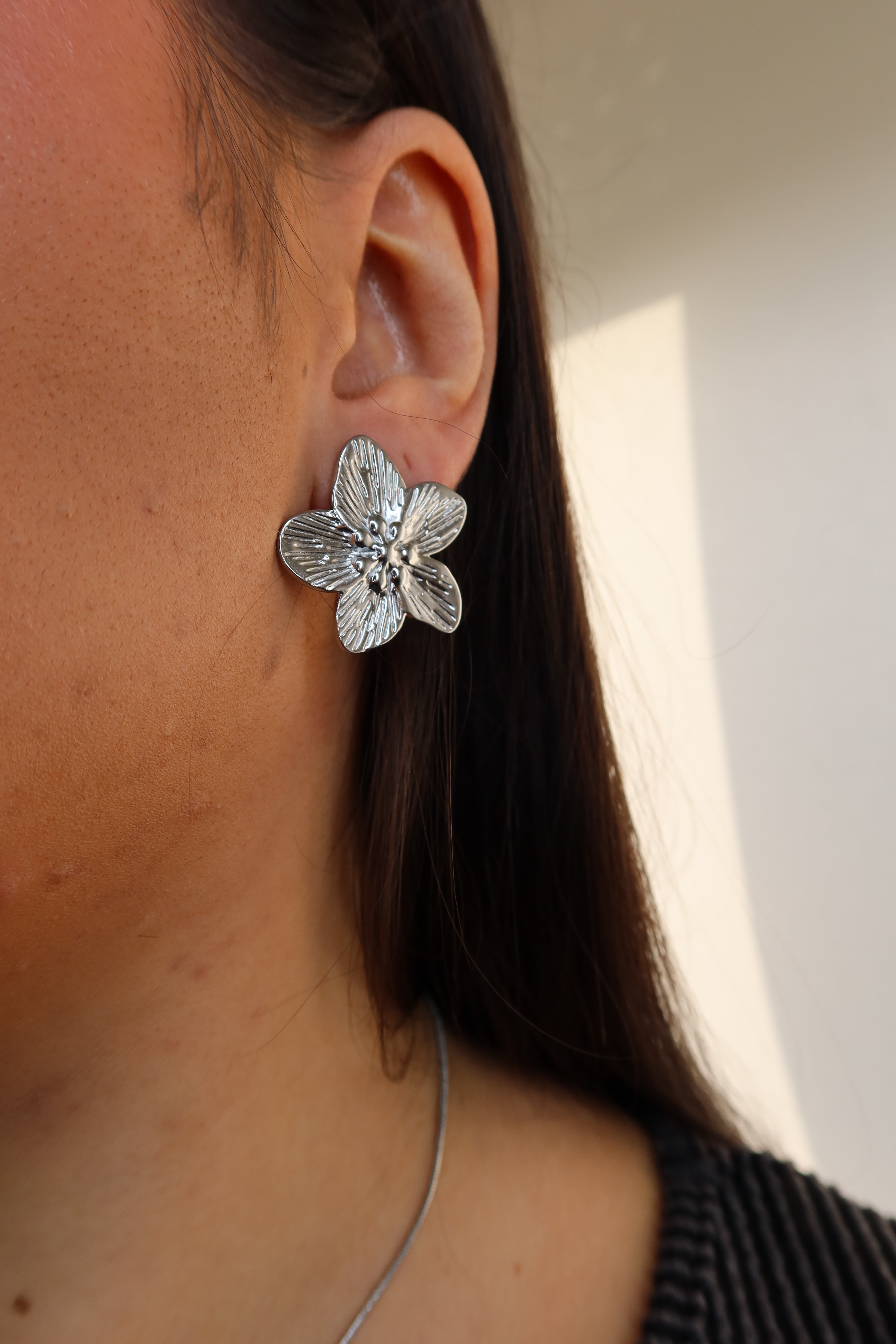 Pendientes Fyla Plateados