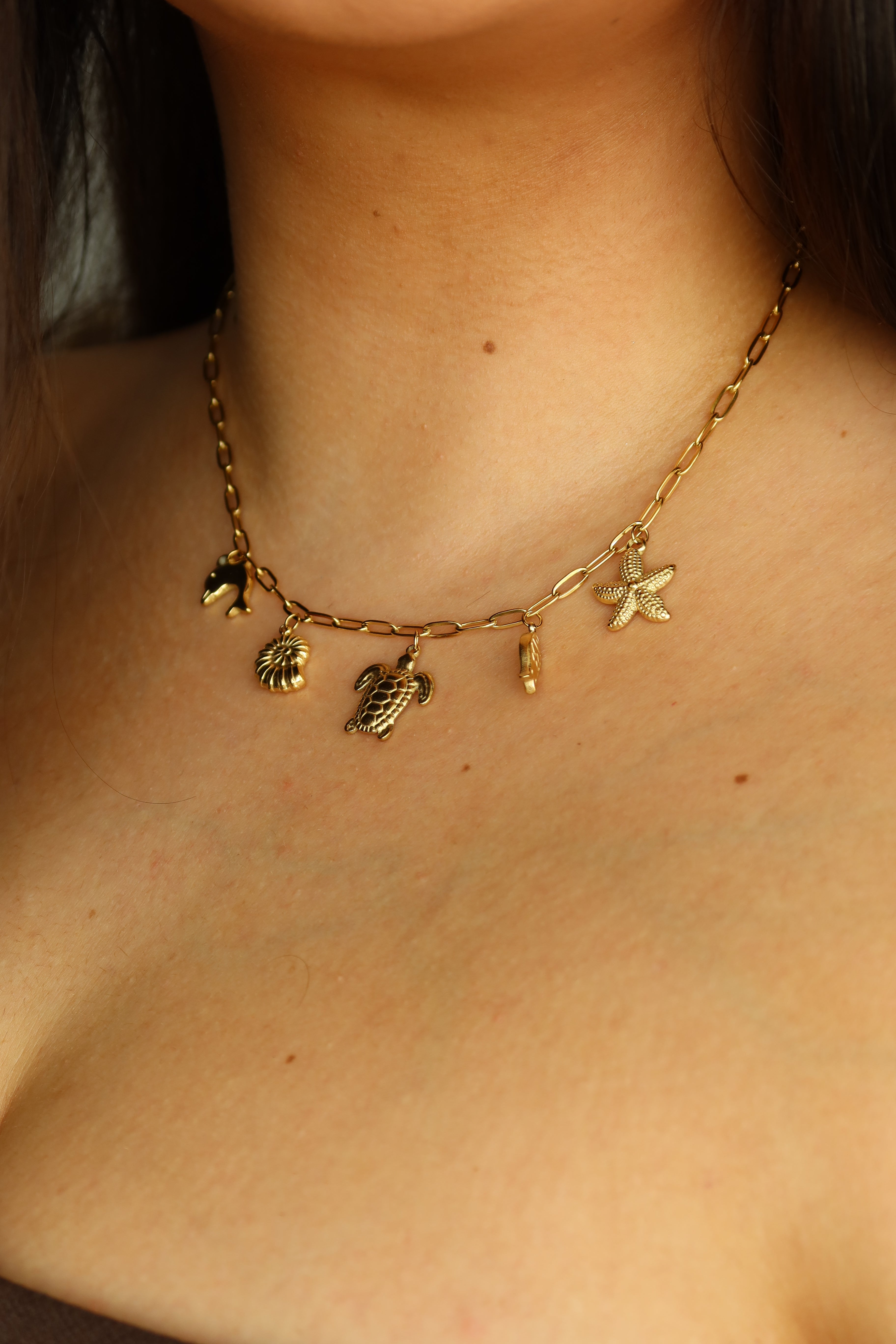 Collar Arena
