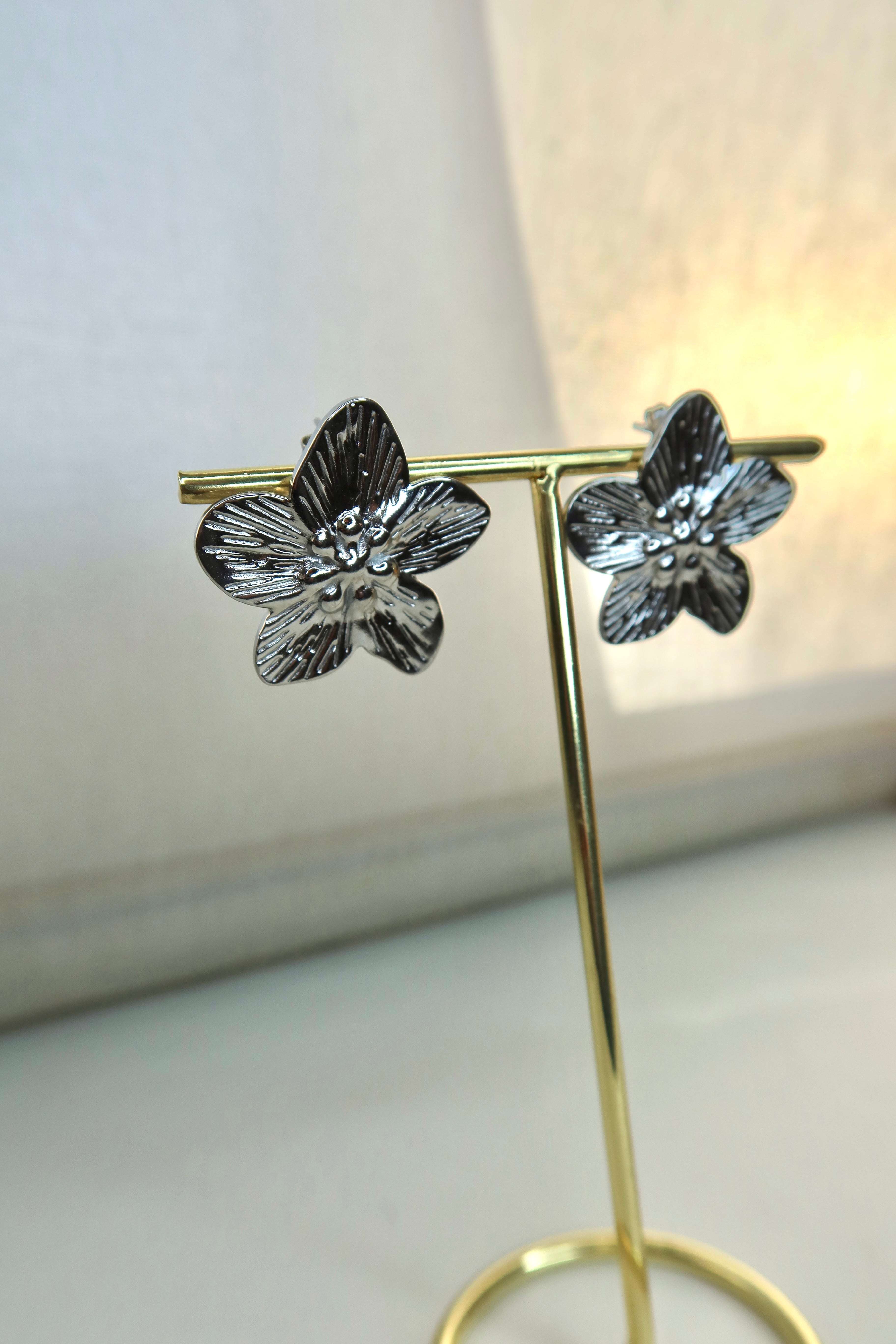 Pendientes Fyla Plateados