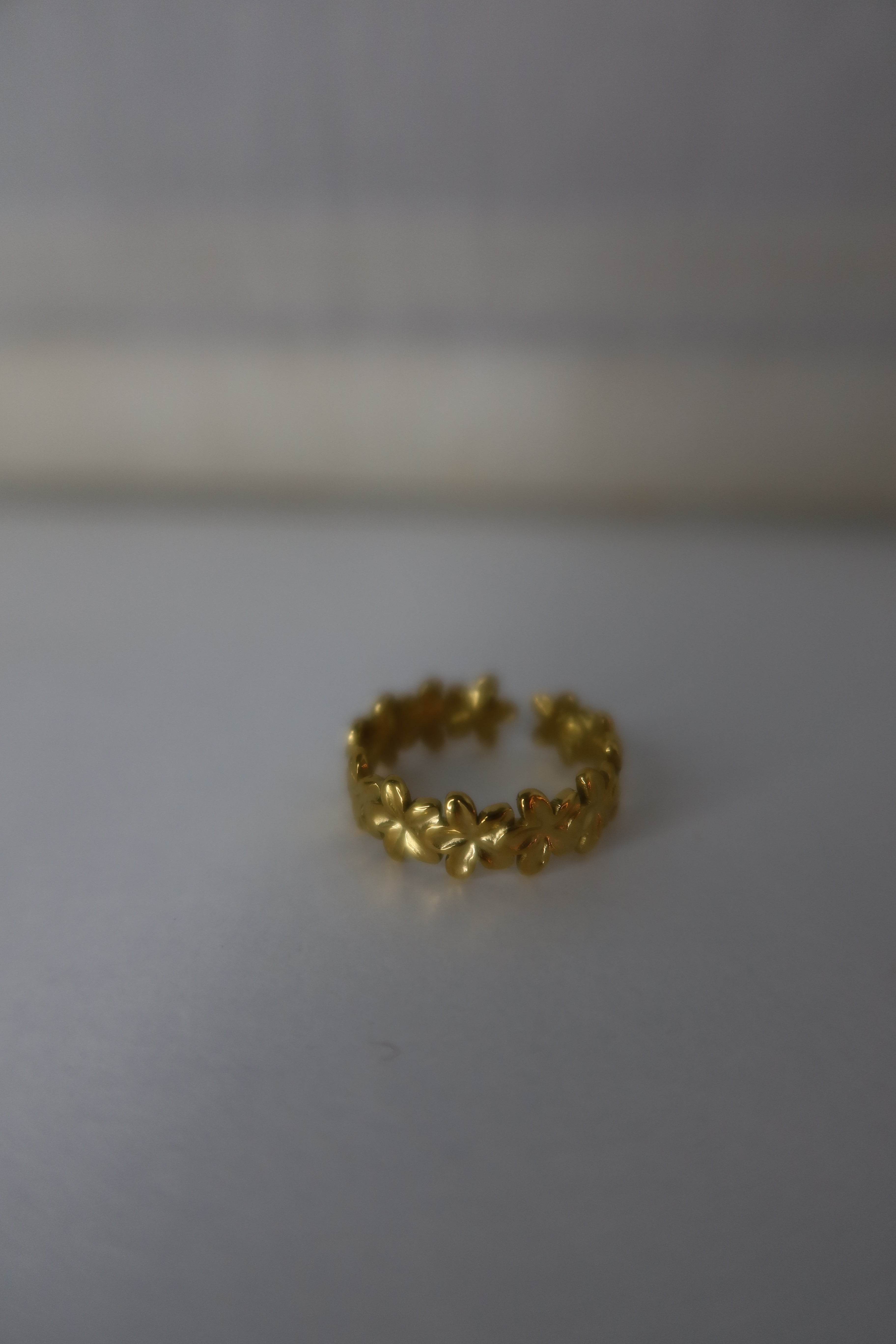 Anillo Elen